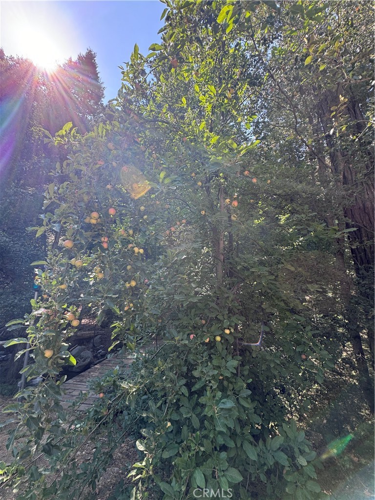 https://media.crmls.org/medias/6686e3cb-f424-4fc2-ae4d-dd75e6d7e940.jpg?preset=X-Large