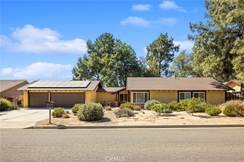 9447 Stirrup Street