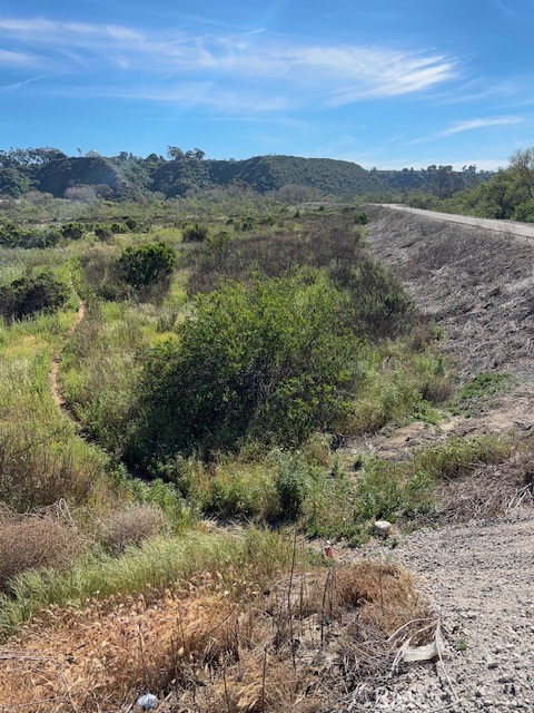 Image 2 of 5 For 0 Benet Road