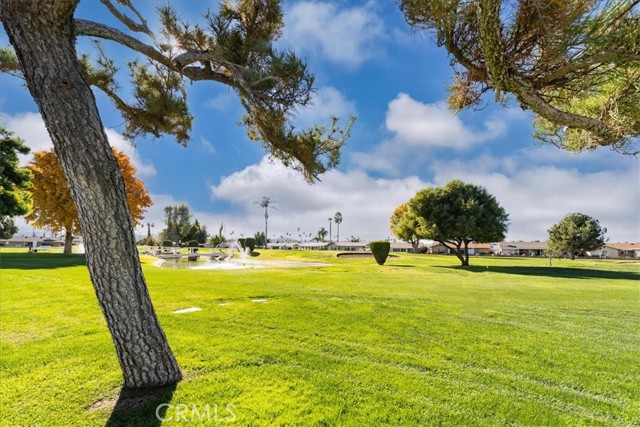 1561 Sandlewood Drive, Hemet CA: https://media.crmls.org/medias/668cc43f-c461-4411-84d6-4df83d4dbe7c.jpg