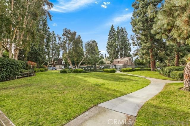 3683 Cactusview Drive, San Diego CA: https://media.crmls.org/medias/668ee408-68e0-4e22-8bb9-cb1f9184acb7.jpg