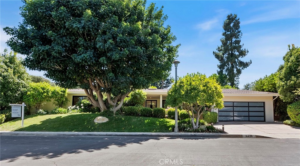 16430 Dorado Drive