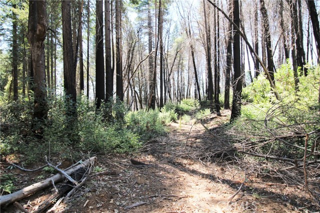 Detail Gallery Image 35 of 43 For 268 Milsap Bar Rd, Berry Creek,  CA 95916 - 3 Beds | 1 Baths