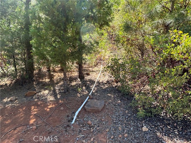 0 Via De Maia, Magalia CA: https://media.crmls.org/medias/669ac705-5c7c-4aaa-9ccb-ba00892174ea.jpg