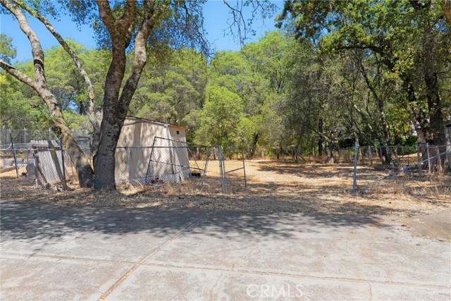 339 Mt Ida Road, Oroville CA: https://media.crmls.org/medias/669dc17f-7092-478c-afbd-505c6e2e861c.jpg