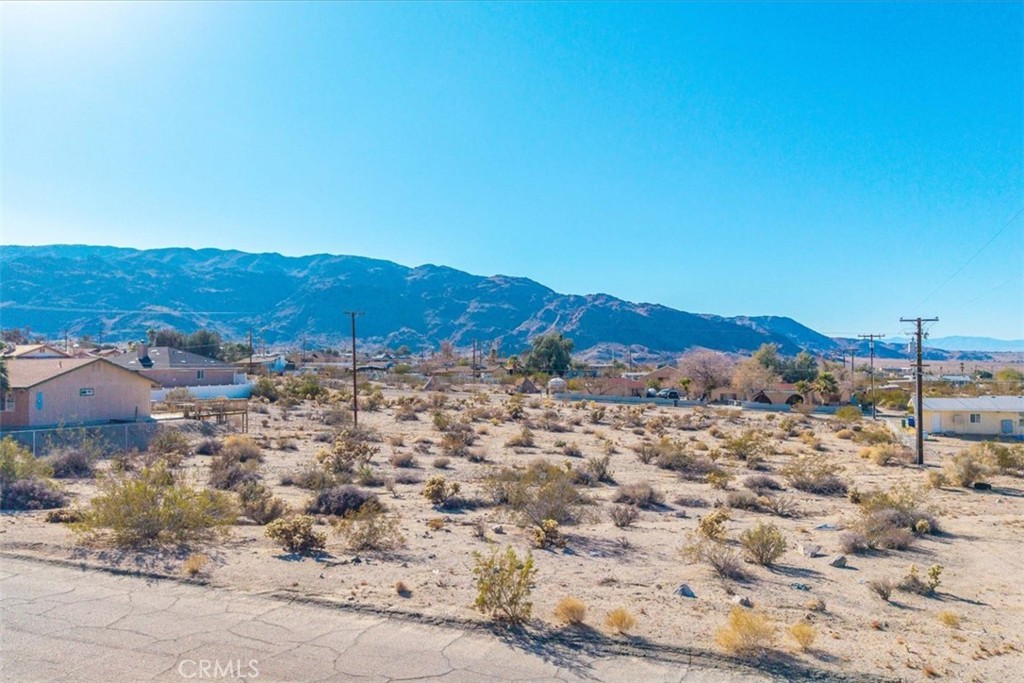 MLS #JT25028804 image #13