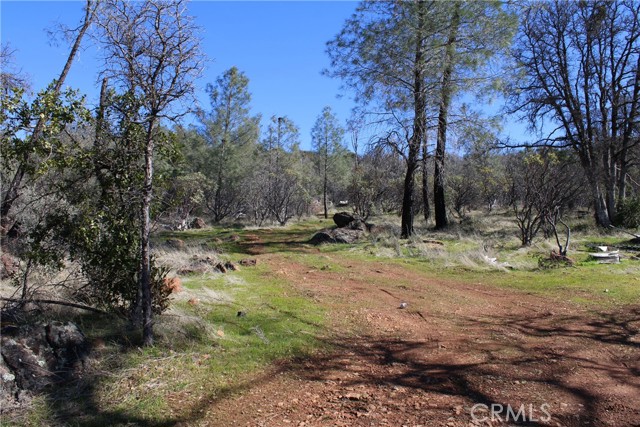 Detail Gallery Image 24 of 35 For 0 Condor Rd, Oroville,  CA 95965 - – Beds | – Baths