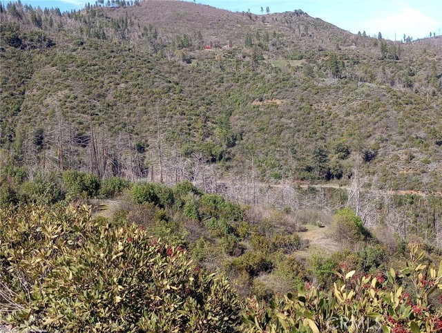 Image 12 of 33 For 0 Bardees Bar