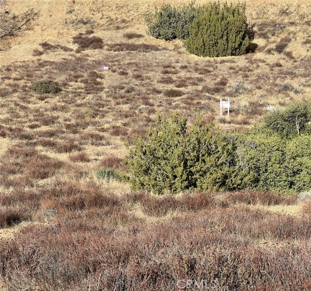 Detail Gallery Image 8 of 9 For 0 Sierra, Acton,  CA 93510 - – Beds | – Baths