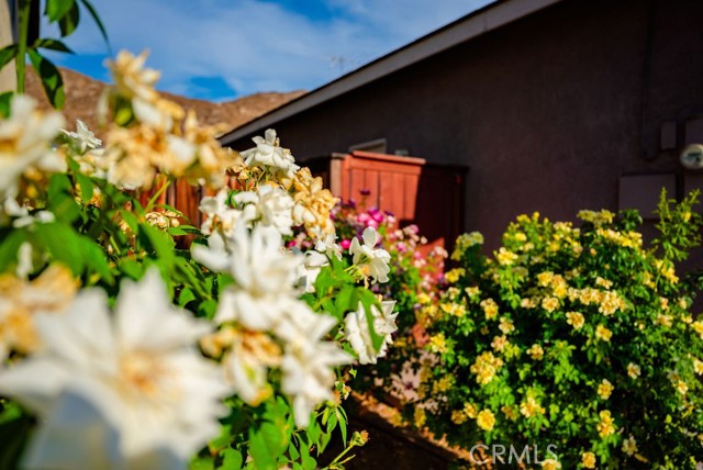 Detail Gallery Image 8 of 29 For 16988 Tack Ln, Moreno Valley,  CA 92555 - 4 Beds | 2/1 Baths