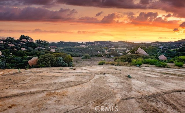 Front Image Thumbnail for CROC25251890