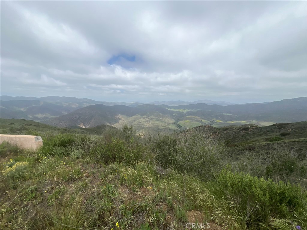 MLS #CV25107046 img 28