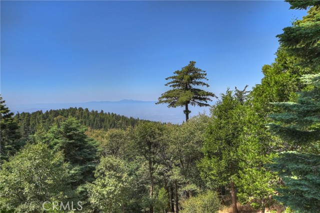 1040 Mile High Road, Twin Peaks CA: https://media.crmls.org/medias/66c22fd3-e691-4212-8384-6e07e5bba73b.jpg
