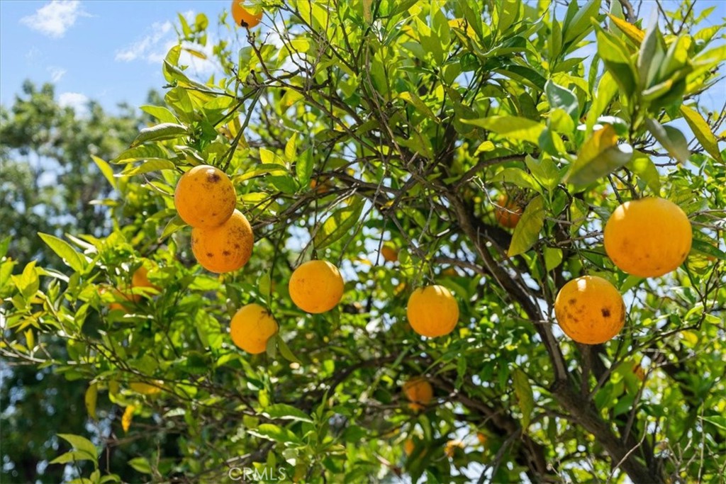 https://media.crmls.org/medias/66c7ac72-6c3a-4246-9028-85cf99a59a29.jpg?preset=X-Large