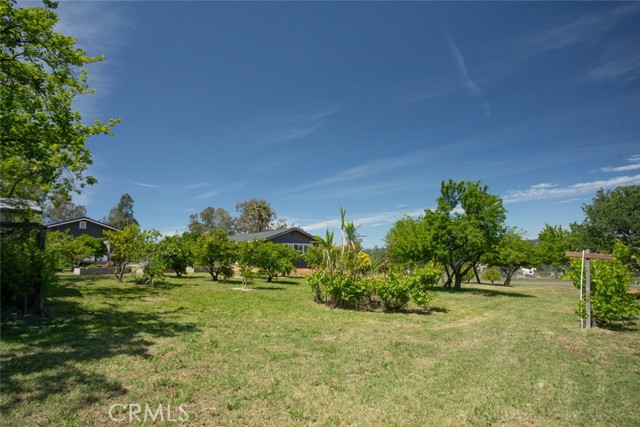 Detail Gallery Image 20 of 51 For 3168 Claremont Dr, Oroville,  CA 95966 - 3 Beds | 2 Baths