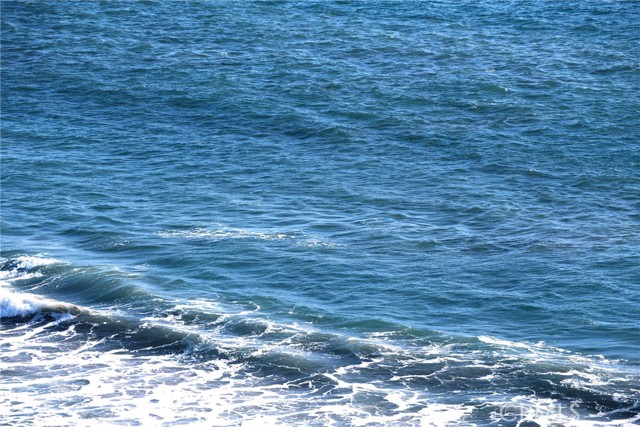 66d6dda9 B427 48a9 Bc4d 126195dc8993