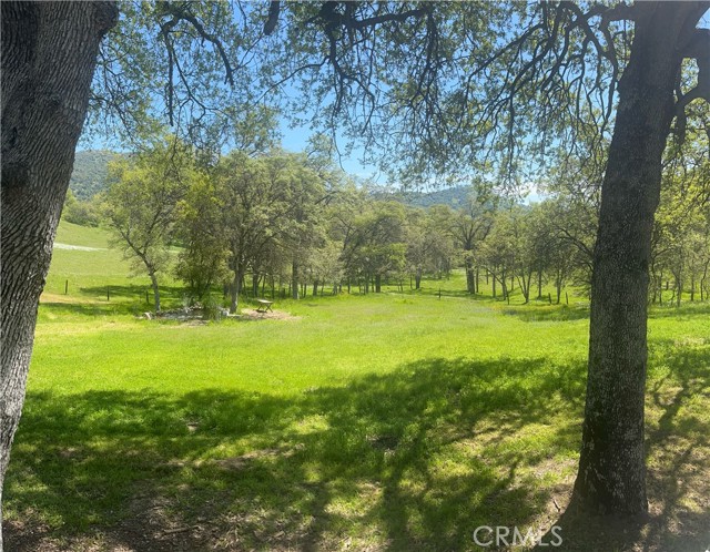 29503 Spence Lane, Tollhouse CA: https://media.crmls.org/medias/66d87a8f-bf9e-4b6b-ae93-f78c977fa492.jpg