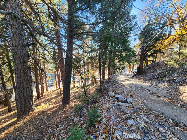 0 Lovers Lane, Rimforest CA: https://media.crmls.org/medias/66e8d0a7-fd41-4023-b132-75a4e6072e1a.jpg