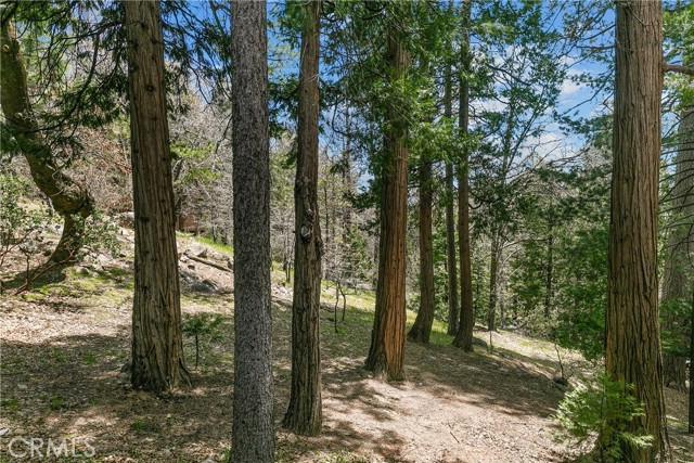 Detail Gallery Image 30 of 39 For 27391 Alpen Drive, Lake Arrowhead,  CA 92352 - 6 Beds | 3/1 Baths