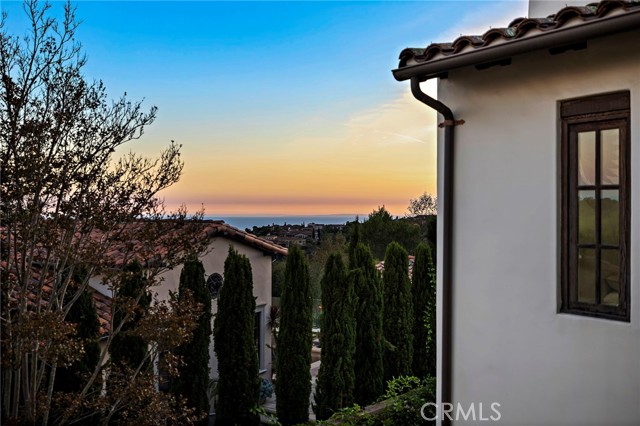 Detail Gallery Image 38 of 59 For 6 Canyon Peak, Newport Coast,  CA 92657 - 4 Beds | 3/1 Baths