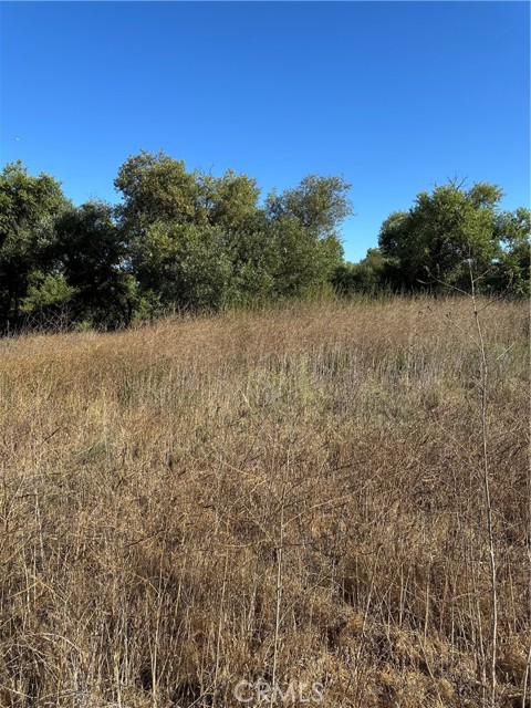 0 Mazoe Street, Temecula CA: https://media.crmls.org/medias/66f0e870-2d5d-4dbe-86ca-2e075dec1299.jpg
