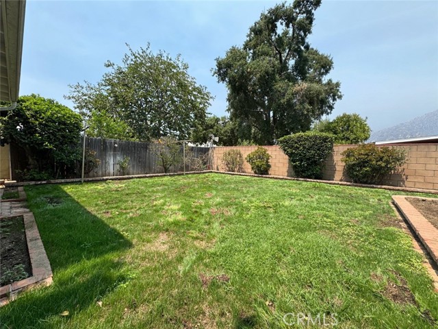 Backyard w/ New Sprinkler System