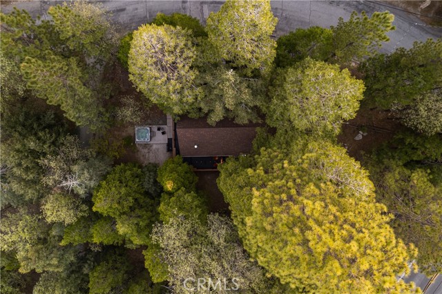 Detail Gallery Image 30 of 37 For 607 Old Toll Rd, Lake Arrowhead,  CA 92352 - 3 Beds | 2 Baths