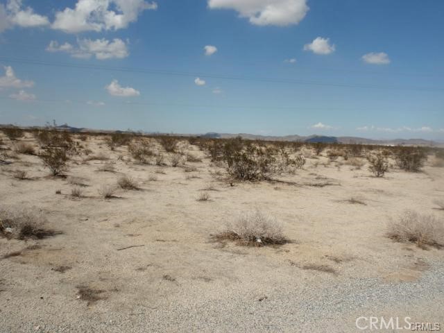 MLS #JT25139543 image #4