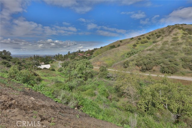 Image 2 for 0 Turnbull Canyon Rd, Whittier, CA 90606