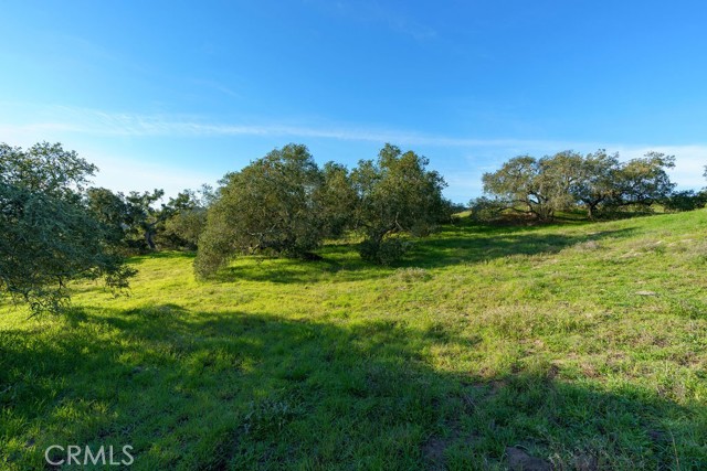 Detail Gallery Image 7 of 29 For 518 Bella Terra Ct, San Luis Obispo,  CA 93401 - – Beds | – Baths