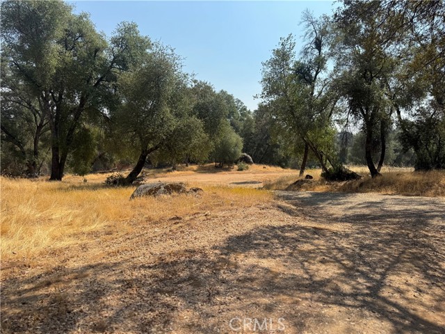 Detail Gallery Image 11 of 19 For 5393 Schafer Rd, Mariposa,  CA 95338 - 3 Beds | 2 Baths