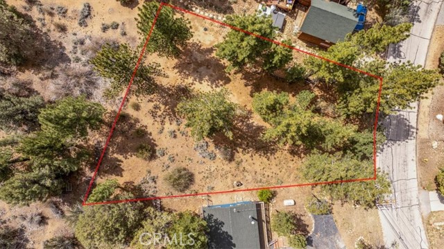 Front Image Thumbnail for CRIG26082861