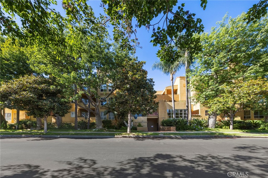 12841 Bloomfield Street #305