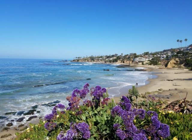 Detail Gallery Image 18 of 18 For 296 1/2 La Brea St, Laguna Beach,  CA 92651 - 1 Beds | 1 Baths