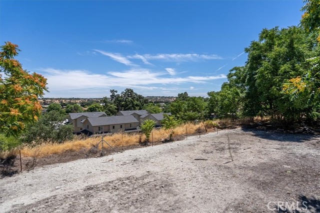 0 Vine Street, Paso Robles CA: https://media.crmls.org/medias/67107302-d6f3-4d7f-a9f6-fdb7c81003e8.jpg