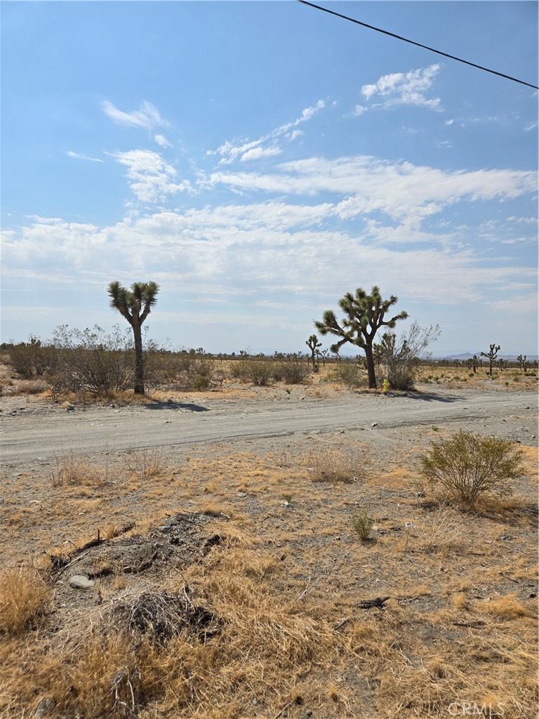 MLS #SR25268980 image #20