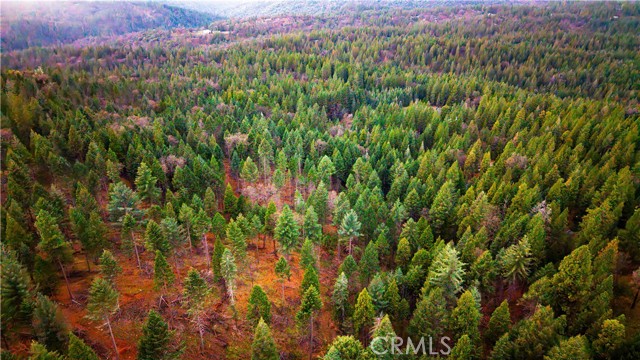 Detail Gallery Image 12 of 22 For 5435 Pine Ridge, Grizzly Flats,  CA 95636 - – Beds | – Baths