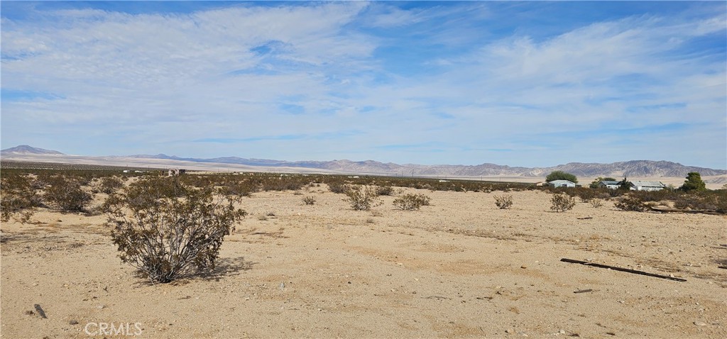 MLS #JT25223927 image #3