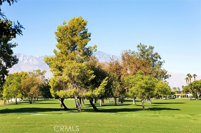 Detail Gallery Image 42 of 46 For 73450 Country Club Dr #278,  Palm Desert,  CA 92260 - 3 Beds | 2 Baths