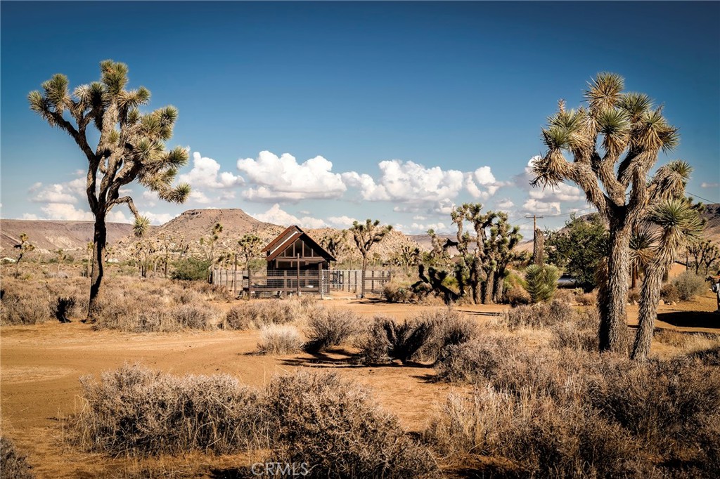 MLS #JT25252986 image #45