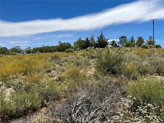 49320 Arroyo Way, Aguanga, CA, 92536 49320 Arroyo Way, Aguanga, CA, 92536