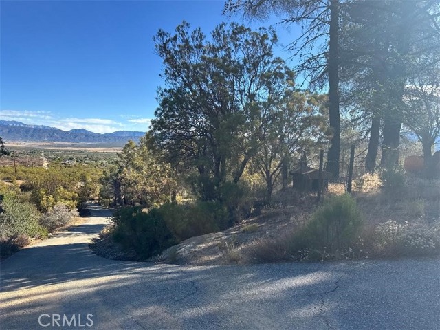 0 Chapman Road, Anza CA: https://media.crmls.org/medias/671a6240-c1ac-452c-a096-efaad2544df6.jpg