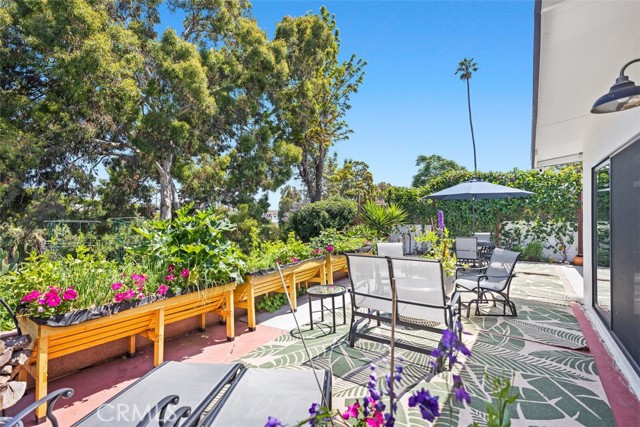 Coastal canyon views from the backyard.