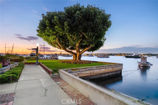 Detail Gallery Image 47 of 48 For 505 W Edgewater Ave, Newport Beach,  CA 92661 - 4 Beds | 4/1 Baths