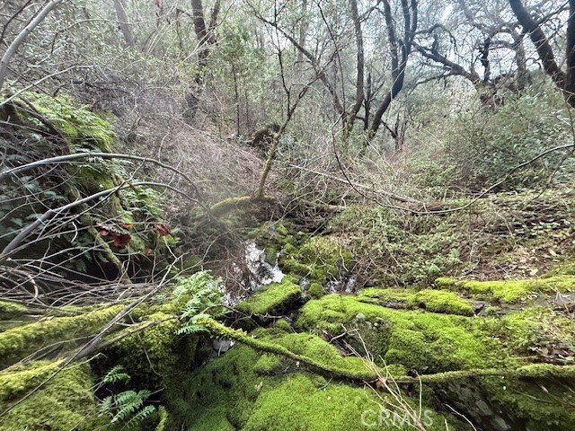 Detail Gallery Image 13 of 20 For 0 Rex Lane, Oroville,  CA 95966 - – Beds | – Baths