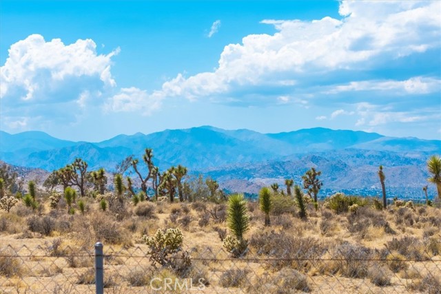 9124 Joshua Lane, Yucca Valley CA: https://media.crmls.org/medias/673418c1-51b1-41d3-9a4b-74c310ba2c2a.jpg