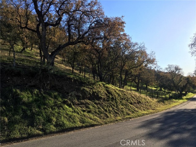 Detail Gallery Image 16 of 18 For 0 Nickel Creek Rd, San Miguel,  CA 93451 - – Beds | – Baths