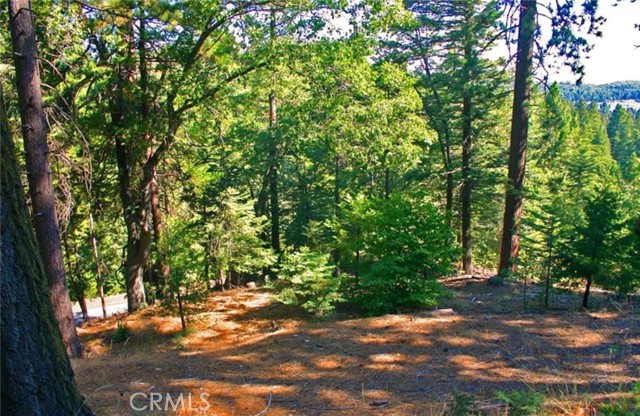 Detail Gallery Image 10 of 17 For 525 Ca-173, Lake Arrowhead,  CA 92352 - – Beds | – Baths