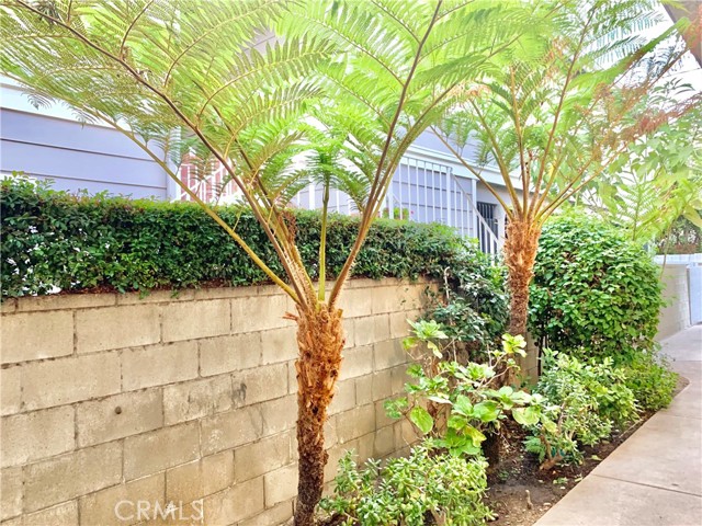 Detail Gallery Image 4 of 38 For 14249 Burbank Bld, Sherman Oaks,  CA 91401 - – Beds | – Baths