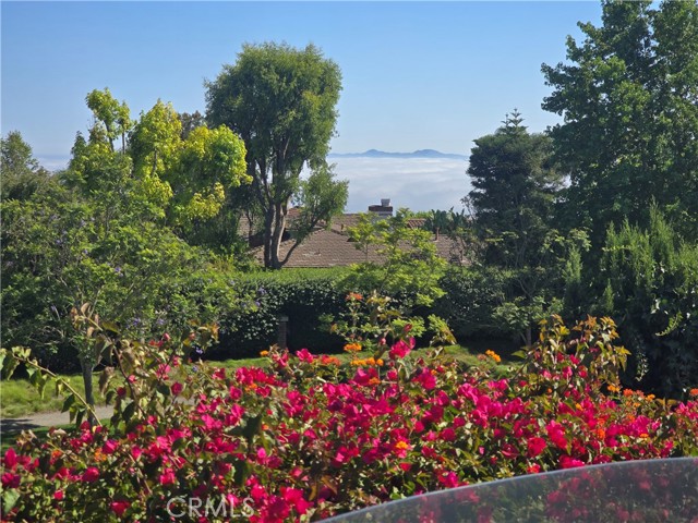 5726 Sunmist Drive, Rancho Palos Verdes CA: https://media.crmls.org/medias/673ba037-1cff-4c5b-9ed1-3887948f0b00.jpg
